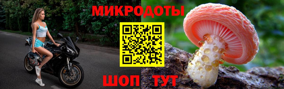 Псилоцибиновые грибы мицелий Кимры