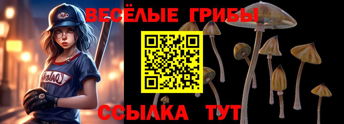 Псилоцибиновые грибы прущие грибы  купить закладку  Кимры  Вход с VPN  Галлюциногенные грибы Magic Shrooms 