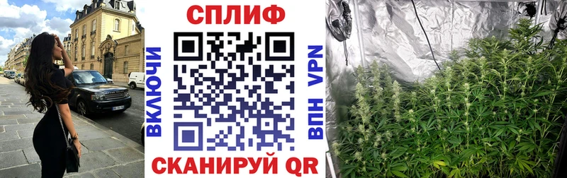 магазин продажи наркотиков  Кимры  Шишки марихуана SATIVA & INDICA 
